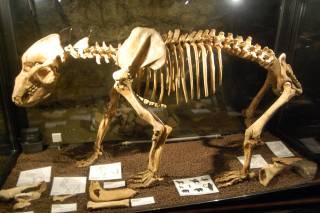 Zur Vergrößerung hier klicken